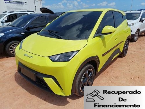BYD DOLPHIN MINI 24/25