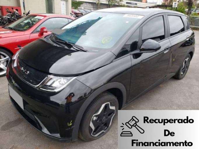 DOLPHIN EV GS 70 KW